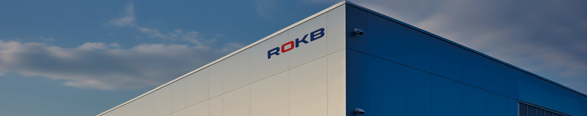 罗克(中国)有限公司