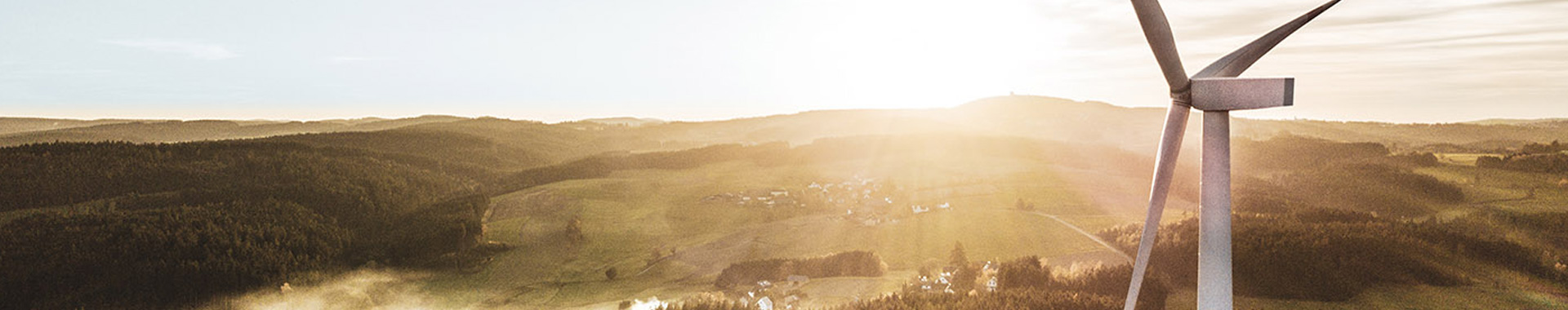 罗克(中国)有限公司