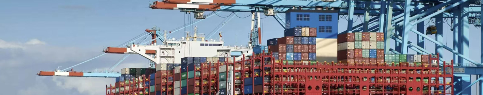 罗克(中国)有限公司